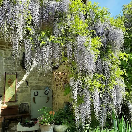 La Pie Qui Chante Bed & Breakfast Saint-Lamain